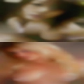 Non-official clubs swingers