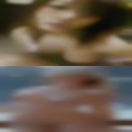 Arizona swingers meet greet