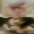 Bars Charlotte find swingers