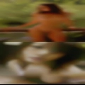 Seymour, swingers