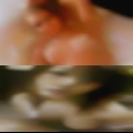 Swingers club Upper Darby