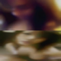 Swingers clubs near Lafayette