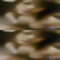 Swingers website marketing
