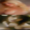White wife military swingers