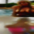 Swingers fucking adult