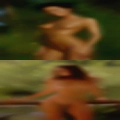 Forest, swingers
